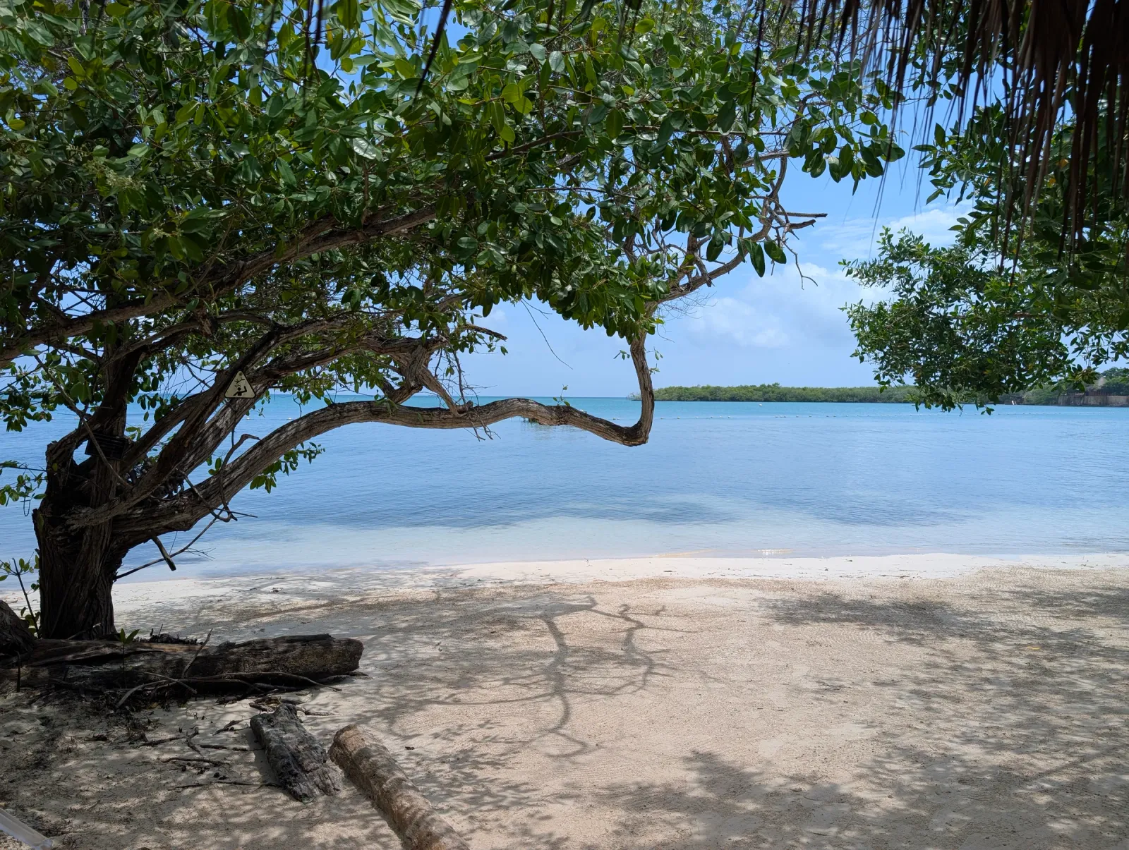 Isla Barú