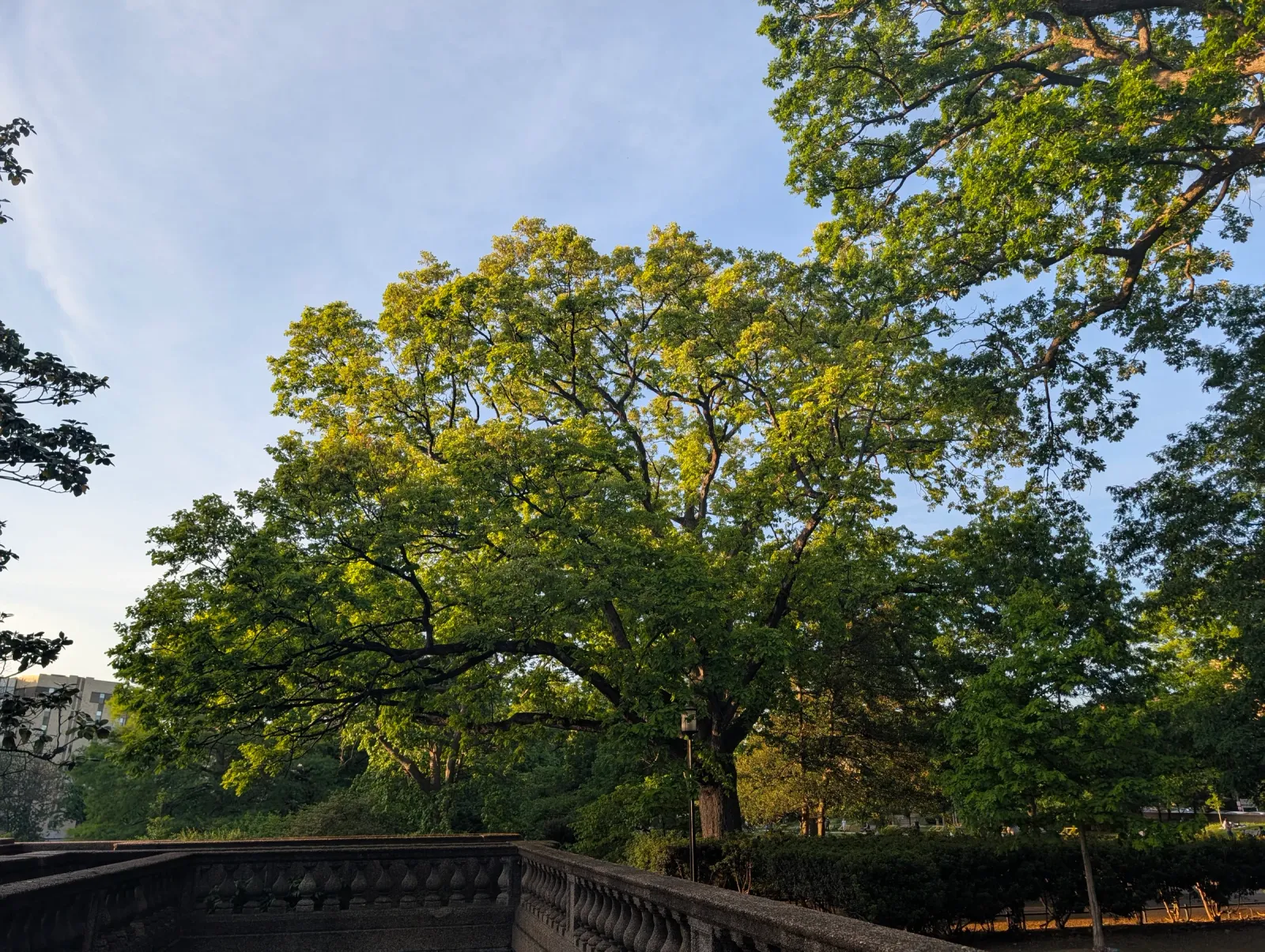 DC