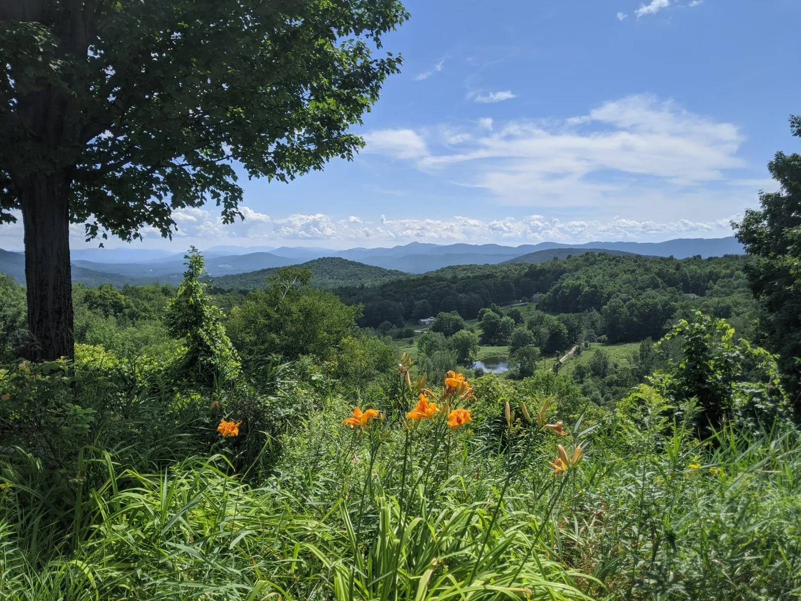 Vermont