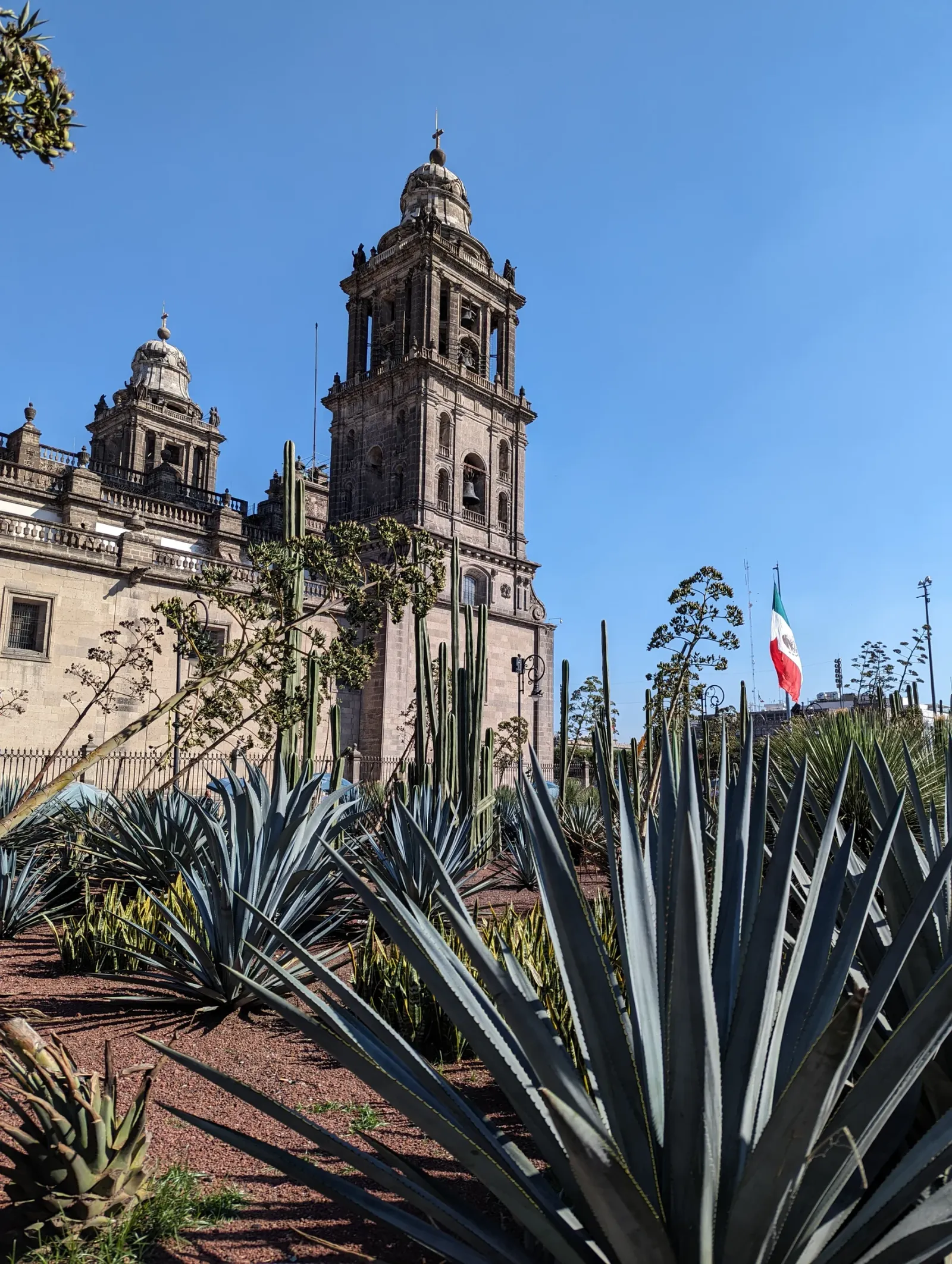 CDMX